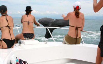 Must Do Activities & Attractions for Canadians Living in Costa Rica