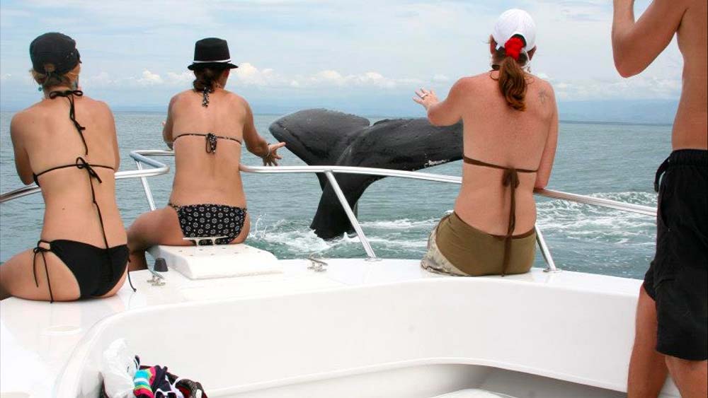Must Do Activities & Attractions for Canadians Living in Costa Rica